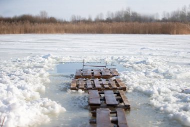 Deniz aygırlarının buzlu suda yüzebileceği bir buz deliği var. Epifani Ortodoks ziyafeti için kış vaftiz yazı tipi.