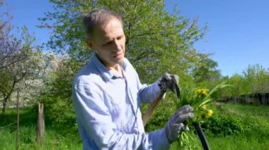 Mavi kareli gömlekli bir adam yeşil bir bahçede tırpanla duruyor ve sapı sarı karahindiba ile kesilmiş çimlerle siliyor..