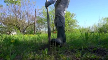 Gri iş pantolonlu, kauçuk çizmeli, tanınmayan bir adamın bacakları, güneşli bir günde fazla gelişmiş bir sebze bahçesinde kürekle kazı yapıyor..
