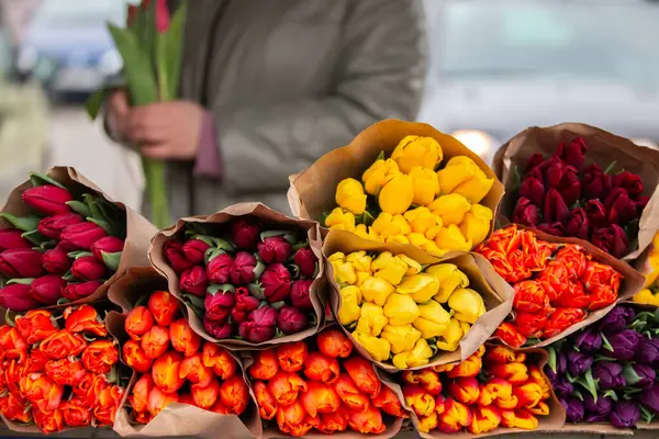 Kutuda farklı renklerde satılık bir lale çiçeği buketi var. Renkler arasında sarı, turuncu, kırmızı ve mor.