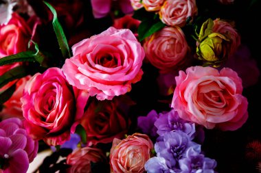 Çiçek rengi, çok renkli bir arka plan. Gül buketleri yakın plan.