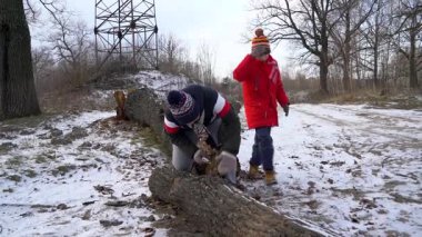 Kışın arkadaşıyla ormanda odun kesen bir çocuk..