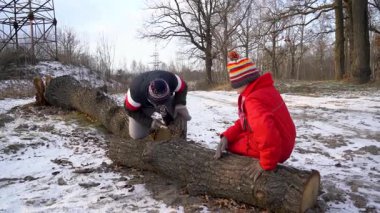 Çocuklar odun toplar, kışın keyfini çıkarırlar.