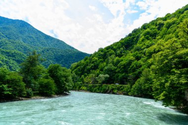 Tropikal ormanda dağ alp fırtınalı nehir. Dağ nehri ya da akarsu sel olup taşmış..