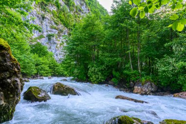 Tropikal ormanda dağ alp fırtınalı nehir. Dağ nehri ya da akarsu sel olup taşmış..