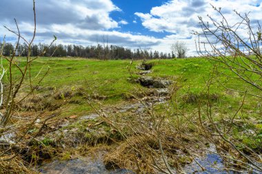 Baharda eşsiz bir manzara, bitki örtüsü ve çeşitliliği olan Güney Ural pürüzlü akarsu..