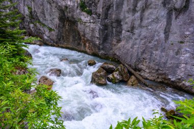 Tropikal ormanda dağ alp fırtınalı nehir. Dağ nehri ya da akarsu sel olup taşmış..