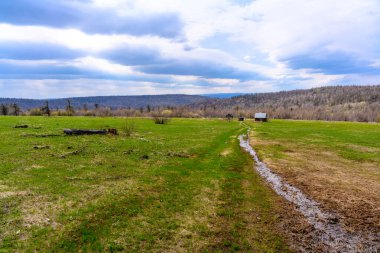 Baharda eşsiz bir manzara, bitki örtüsü ve çeşitliliği olan Güney Ural pürüzlü akarsu..