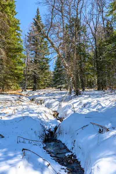Baharda eşsiz bir manzara, bitki örtüsü ve çeşitliliği olan Güney Ural pürüzlü akarsu..