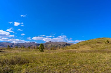 Baharda eşsiz bir manzarası, bitkisi ve çeşitliliği olan Güney Ural Ormanı.