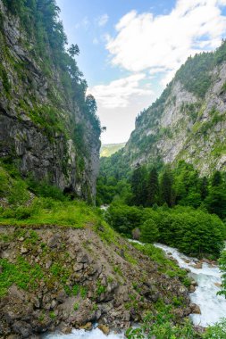 Tropikal ormanda dağ alp fırtınalı nehir. Dağ nehri ya da akarsu sel olup taşmış..