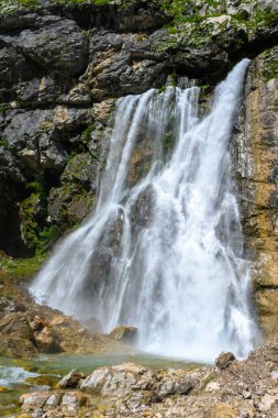 Tropik dağlardaki şelale. Dağlar ve çayırlar.