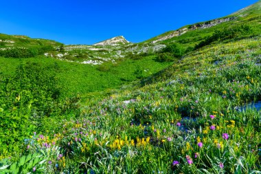 Tropikal dağlardaki güzel manzara. Dağlar ve çayırlar.
