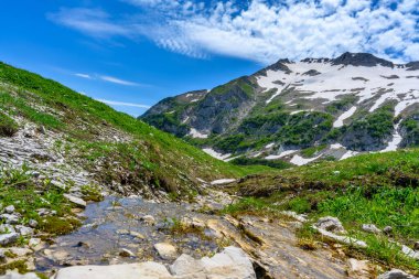Tropikal orman atlılarında saf içme suyu olan dere. Dağlar ve çayırlar.