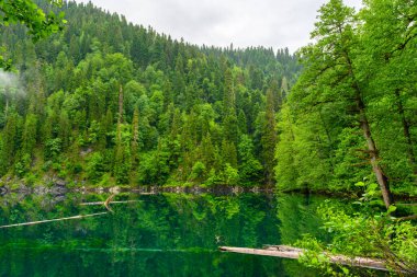 Tropikal ormanda şiddetli sağanak yağmur. Tropikal yağmur, gölün ve yeşil ağaçların arka planına düşen yağmur damlaları.