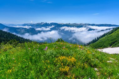 Tropikal dağlardaki güzel manzara. Dağlar ve çayırlar.
