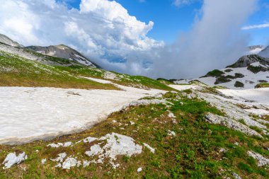 Tropikal ormandaki dağların tepesindeki kar yığınları ve yeşil çimenler. Dağlar ve çayırlar.