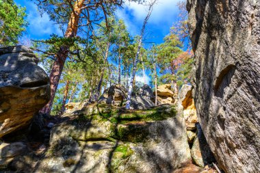 Sonbahar manzarası, sonbaharda dağlarda doğa, kayalar, dağlar, tepeler. Ormandaki kayaların manzarası.