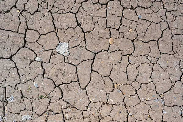 Dry mud cracked ground texture. Drought season background. Dry and cracked land, dry due to lack of rain. Effects of climate change such as desertification and droughts.