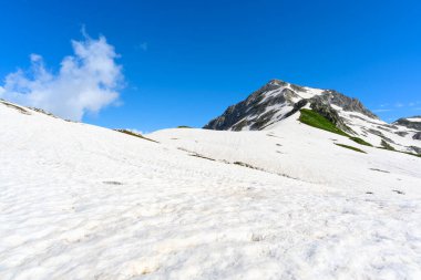 Tropikal ormandaki dağların tepesindeki kar yığınları ve yeşil çimenler. Dağlar ve çayırlar.