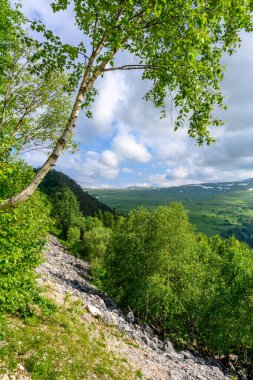 Çiçekli çayırlar ve karla kaplı dağlık tepeleri olan kayan tepelerin manzaralı panoramik manzarası. Güzel güneşli bir gün mavi gökyüzü ve baharda bulutlar.