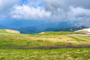 Çiçekli çayırlar ve karla kaplı dağlık tepeleri olan kayan tepelerin manzaralı panoramik manzarası. Güzel güneşli bir gün mavi gökyüzü ve baharda bulutlar.