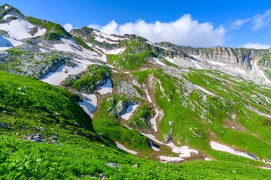 Tropikal ormandaki karlı dağ zirveleri. Dağlar ve çayırlar.