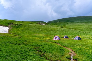 Dağ yürüyüşü patikası. Dağları, yeşil çayırları ve ilkbaharda yürüyüş yolları olan güzel bir manzara..
