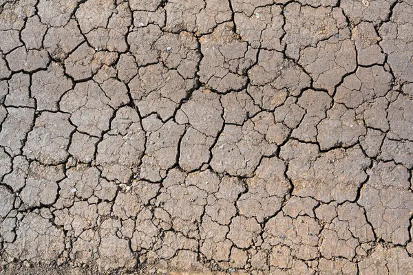 Dry mud cracked ground texture. Drought season background. Dry and cracked land, dry due to lack of rain. Effects of climate change such as desertification and droughts.