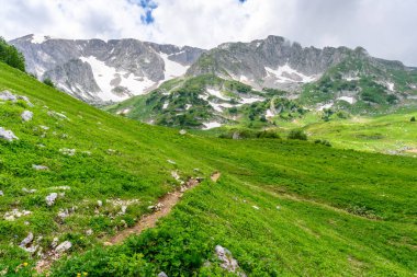 Dağ yürüyüşü patikası. Dağları, yeşil çayırları ve ilkbaharda yürüyüş yolları olan güzel bir manzara..