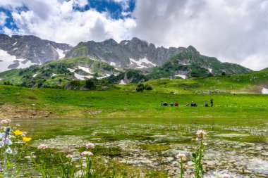 Dağ yürüyüşü patikası. Dağları, yeşil çayırları ve ilkbaharda yürüyüş yolları olan güzel bir manzara..