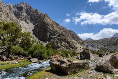 Tacikistan dağlarında fırtınalı bir nehir. Fan Dağları.