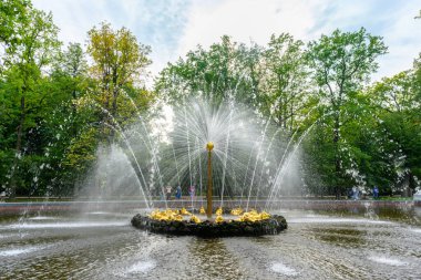 St. Petersburg, Rusya - 15 Eylül 2024: Peterhof Sarayı 'nda sonbahar, Petergof Sarayı' nda bulunan bir dizi saray ve bahçedir..