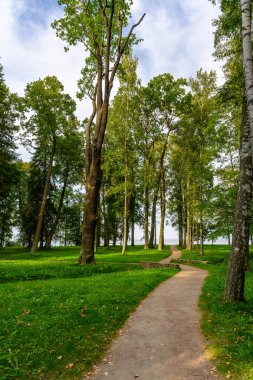 Peterhof Sarayı 'nda sonbahar, Petergof' da bulunan bir dizi saray ve bahçedir.).