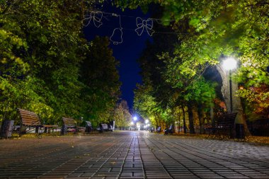 Fenerler ve sonbahar ağaçlarıyla dolu bir akşam parkı. Sokak boyunca eski dövülmüş demir banklar rahat bir atmosfer yaratır. Sokak ışıkları şehir manzarasına özel bir cazibe katıyor..
