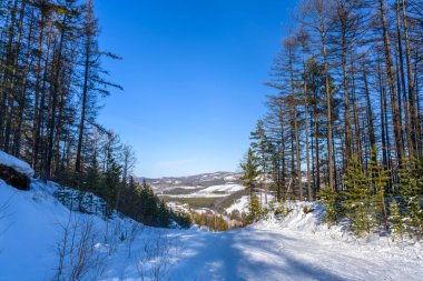 Abzakovo köyü yakınlarındaki soğuk bir kış gününde Ural Dağları 'nın ormanında serbest kayak yamacında. Aktif yaşam tarzı, spor ve doğa seyahati kavramı.
