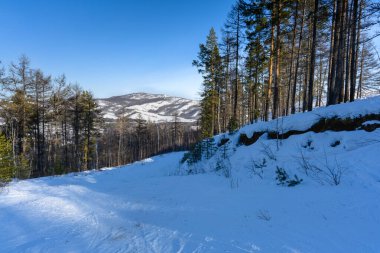 Abzakovo köyü yakınlarındaki soğuk bir kış gününde Ural Dağları 'nın ormanında serbest kayak yamacında. Aktif yaşam tarzı, spor ve doğa seyahati kavramı.