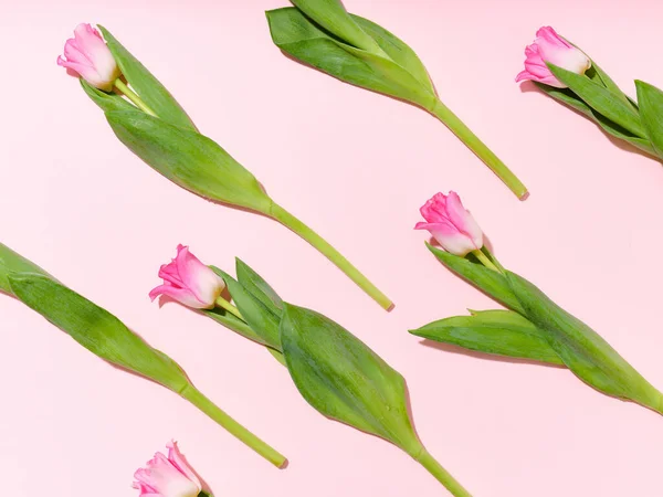 Creatieve Lay Out Met Een Patroon Gemaakt Van Tulpen Roze — Stockfoto