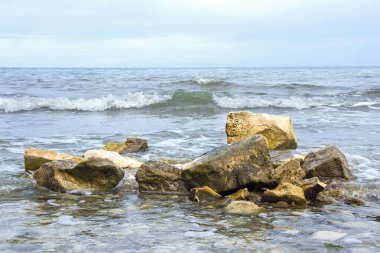 Yazın sahilde deniz kenarına yakın deniz taşları. Umag, Hırvatistan, Adriyatik Denizi 2024