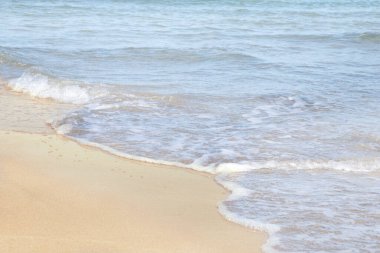 Güneşli bir günde güzel tropik plaj ve denizin doğa manzarası. Sahil kıyısı. Umag Hırvatistan 'ın güzel kumlu plajı.
