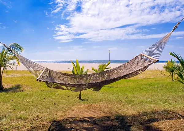 Palmiye ağaçları arasında hamak, Nikaragua sahillerinde rahatlatıcı bir günde.