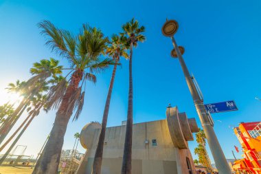 Gün batımında dünyaca ünlü Muscle Beach 'teki palmiye ağacı. Kaliforniya, ABD