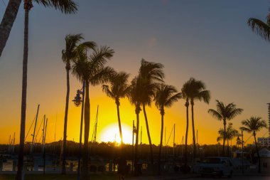 Gün batımında Coconut Grove üzerinde açık bir gökyüzü. Florida, ABD