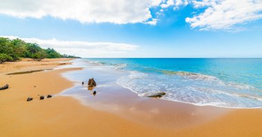 Guadeloupe 'daki La Perle plajında altın kum ve mavi deniz. Karayip Denizi
