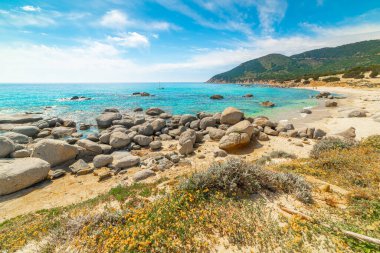 İlkbaharda Porto Sa Ruxi sahilinde kayalar ve kum. Sardunya, İtalya