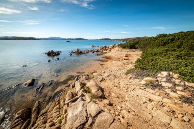 Sonbaharda Caprera sahilinde kayalar ve bitkiler. Sardunya, İtalya