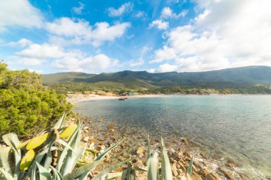 Baharda bulutlu bir gökyüzünün altında La Speranza plajı. Sardunya, İtalya