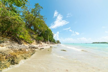 La Datcha sahilinde turkuaz su ve yeşil bitkiler. Guadeloupe, Karayip Denizi