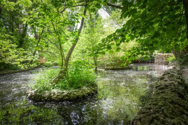 San Leonardo ormanındaki su ve bitkiler. Sardunya, İtalya