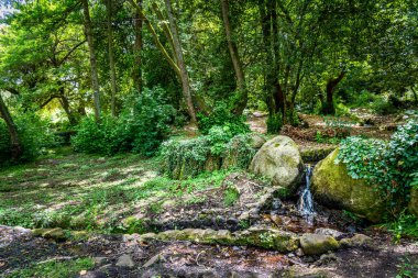 San Leonardo ormanındaki kayalar ve bitkiler. Sardunya, İtalya